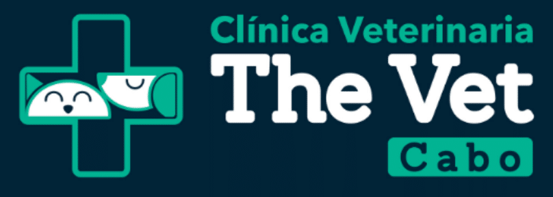 Cabo Vet